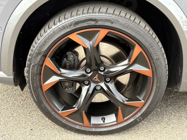 Formentor VZ 2.0 TSI 4Drive DSG Leder AHK PANO