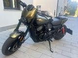 Harley-Davidson Street Rod 750