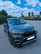 BMW X1 xDrive20d Steptronic  xLine - 8fach bereift - BMW: F ST