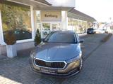 Skoda Octavia Style 4x4 mit AHZV - Skoda: Allradantrieb, mit
