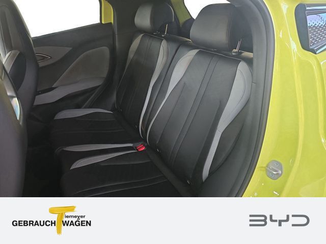 BYD DOLPHIN SURF