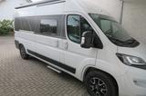 Knaus Boxstar Street 60 Years mit Anhängerkupplung - Anhänger Wohnwagen gebraucht