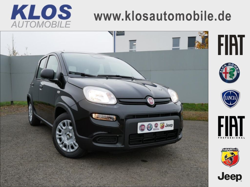Image of Fiat Panda