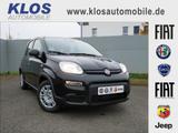 Fiat Panda HYBRID 1.0 GSE 70PS PDC CITY PAKET RADIO - Fiat Panda: Schwarz