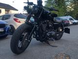 Harley-Davidson Sportster XL1200C all Black  - HARLEY-DAVIDSON 2012 SPORTSTER