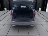 Skoda Kodiaq - Vorschau Bild 5