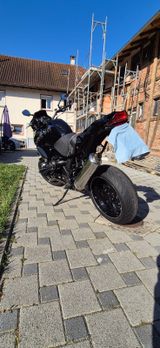 BMW GS1200 R12 Rennkuh - BMW 2010 R1200R