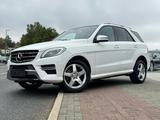 Mercedes-Benz ML 250 CDI BlueTech Amg line Pano Totwinkel AHK - Mercedes-Benz ML-Klasse mit Diesel-Antrieb: Automatik