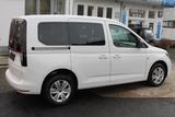 Volkswagen Caddy 2.0 TDI 5-Sitz Sitzh Kam Allwetter SOFORT - Volkswagen Caddy: Weiß