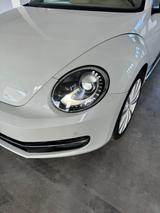 Volkswagen Beetle Turbo - : Roadster, Turbo