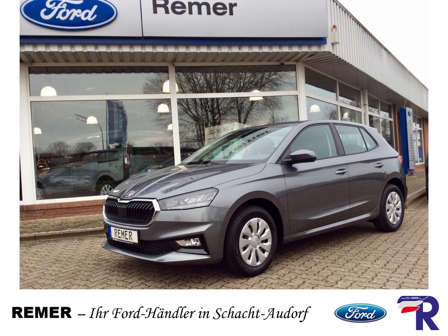 Skoda Fabia Selection Automatik Klima Apple CarPlay/An