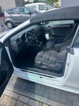 Volkswagen Golf 2.0 TDI 81kW BMT LOUNGE Cabriolet LOUNGE - VW Golf Gebrauchtwagen in Bonn