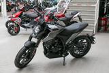 Malaguti Drakon 125 ABS, 4 JAHRE WERKSGARANTIE - SPORTLER VON 81 BIS 125 CCM