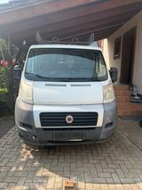 Fiat Ducato 250 100 Multijet - Fiat Ducato aus 2010: Van