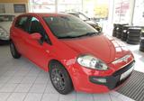 Fiat Punto 1.2 8V POP  Klimaanlage Radio - Fiat Punto: Punto2