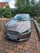 Jaguar XF Diesel - Jaguar XF in Bochum