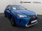 Lexus UX 250 h Executive NAVI HGSD HEAD-UP DISPLAY - Lexus Gebrauchtwagen in Hamburg