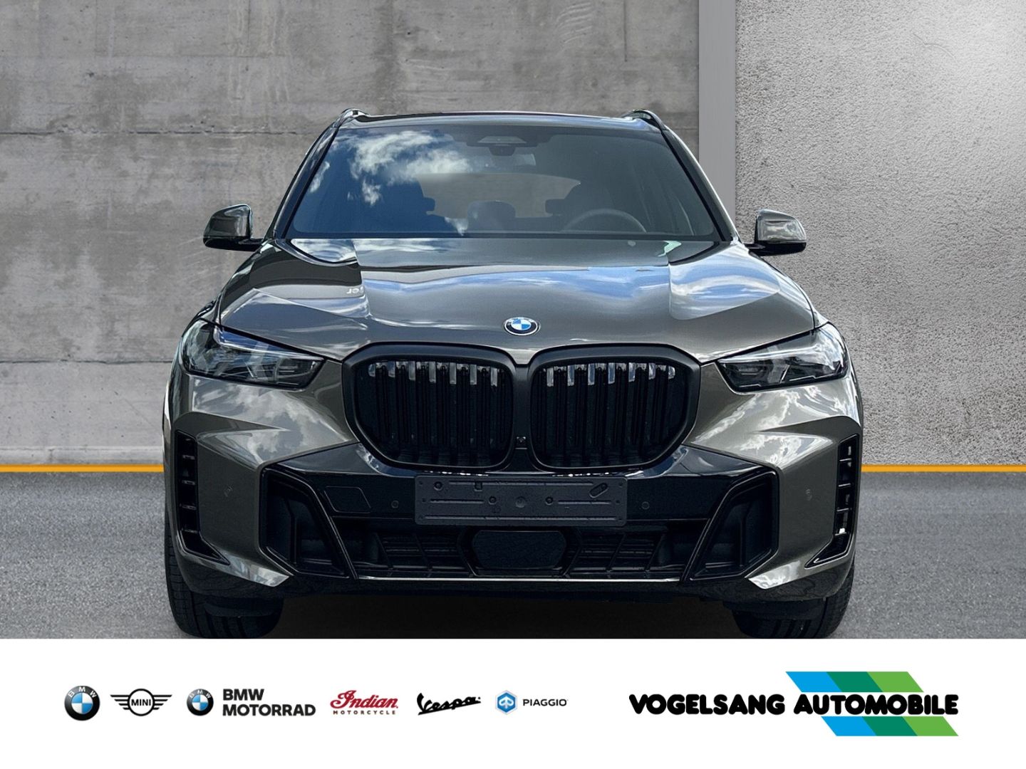 Fahrzeugabbildung BMW X5 xDrive30d M Sport Pro Soft-Close 2-Achs-Luftf