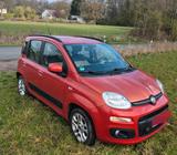 Fiat Panda mit 69PS ,Klima, Bj. 8.2012 gep... - Fiat Panda Gebrauchtwagen in Bochum