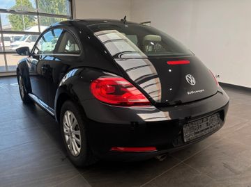 Volkswagen Beetle - 4