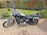 Harley-Davidson Sportster XL 1200C Custom - HARLEY-DAVIDSON 2003 SPORTSTER 1200