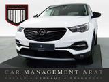 Opel Grandland X 1.2 Design Line AUTOM CARPL+SHZ+KAM - Opel Grandland (X) Design-Line
