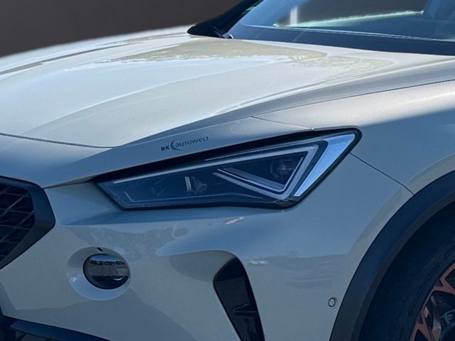 Formentor VZ5 4D 2.5 TSI TAIGA GREY NR. 444 5JG.