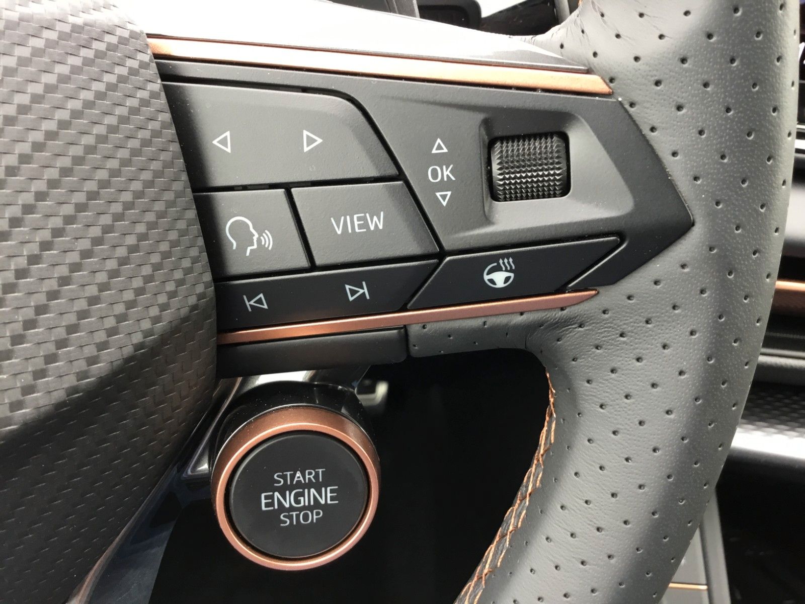 Fahrzeugabbildung CUPRA Terramar 2.0 TSI DSG 4Drive+Matrix+AHK+Pano+360°
