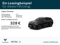 Cupra Terramar - Vorschau Bild 2