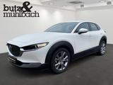 Mazda CX-30 SKYACTIV-X 2.0 M-Hybrid AWD SELECTION - Mazda CX-30: Skyactiv X