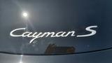Porsche Cayman S MY08 S - Porsche Gebrauchtwagen in Rosenheim