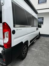 Knaus BoxLife Pro 540 Road - Knaus Diesel Kastenwagen 540 road