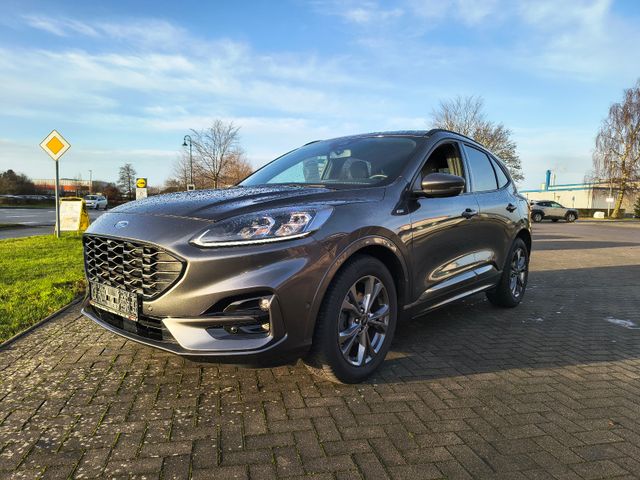 Ford Kuga ST-Line X