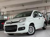 Fiat Panda MYSTYLE-Zahnriemen NEU-TÜV Neu-AC- - Fiat Panda: Mystyle