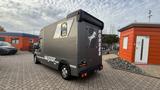 Peugeot Boxer Hagstedt für 2 x Pferde - Tier- & Pferdetransport für 2 Pferde