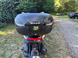 Piaggio MP3 530 HPE - Angebote entsprechen deinen Suchkriterien