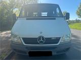 Mercedes-Benz Sprinter Pritsche Doka 313 CDI - Mercedes-Benz Sprinter aus 2004: 313