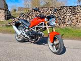 Ducati Monster 600 - DUCATI MONSTER 600