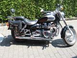 Triumph America - TRIUMPH AMERICA