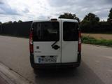 Fiat Doblo Kasten 1.9JTDI*100PS*L2H1*Maxi*Kupplung*Ne - Fiat Doblo mit Diesel-Antrieb: 1.9