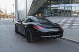 Porsche Cayman S Black Edition  - Porsche Cayman in Berlin