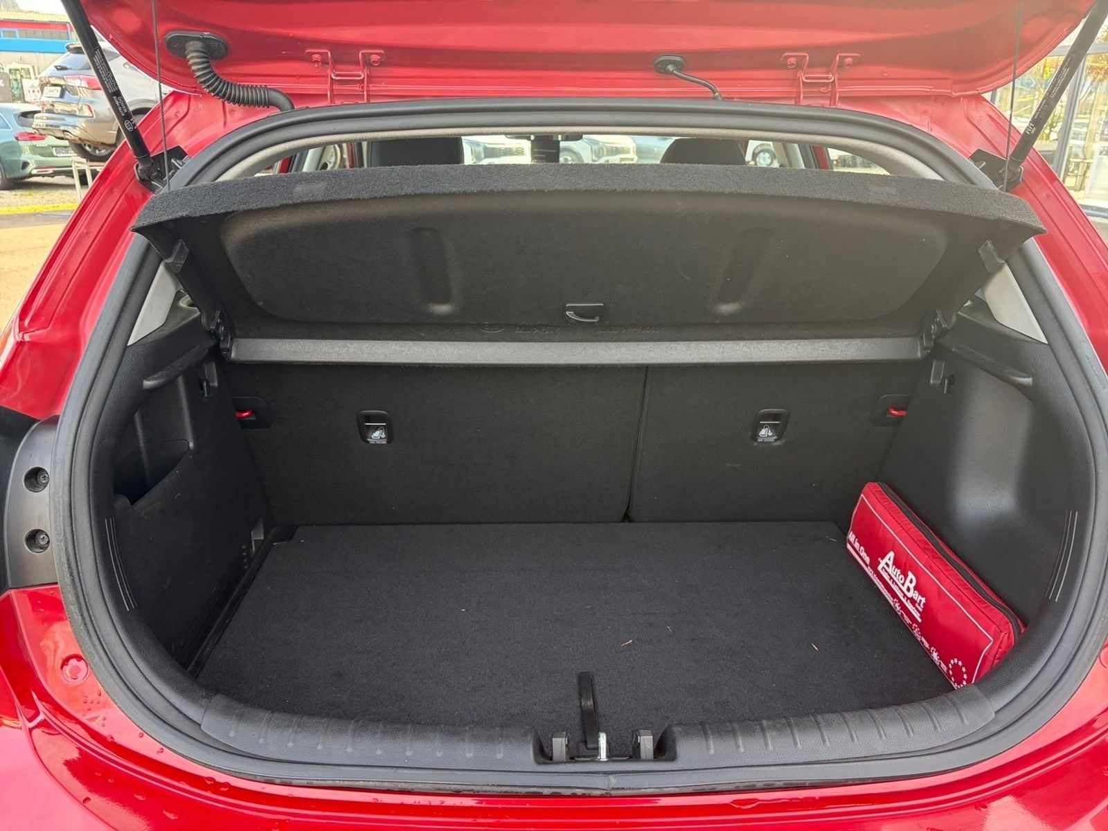 Fahrzeugabbildung Kia Rio Edition 7, Emotion Paket,