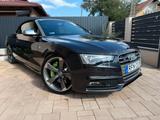 Audi S5 3.0 TFSI S tronic quattro Cabriolet - - Audi S5: Leder