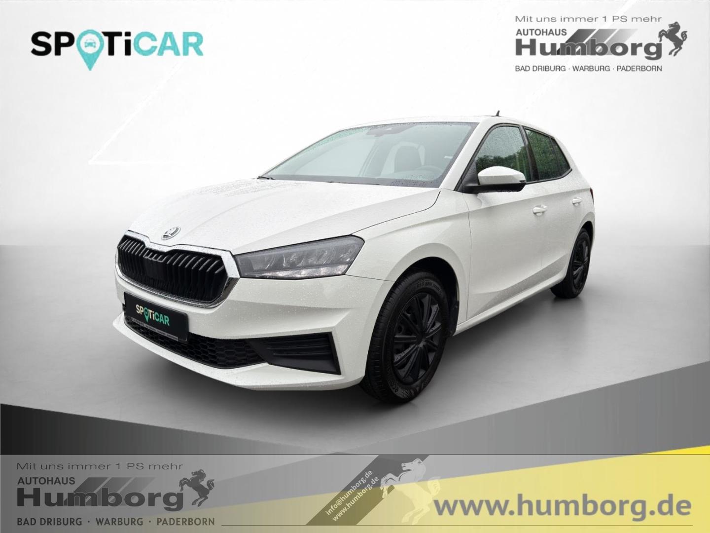 Skoda Fabia 1.0 MPI Active LED Sperrdiff. ACC Apple Ca