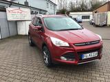 Ford Kuga Trend +Klima + Sitzheizung + Alufelgen 8x - : Alufelgen