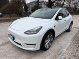 Tesla Model Y Long Range AWD - Tesla Model Y Kombi Gebrauchtwagen