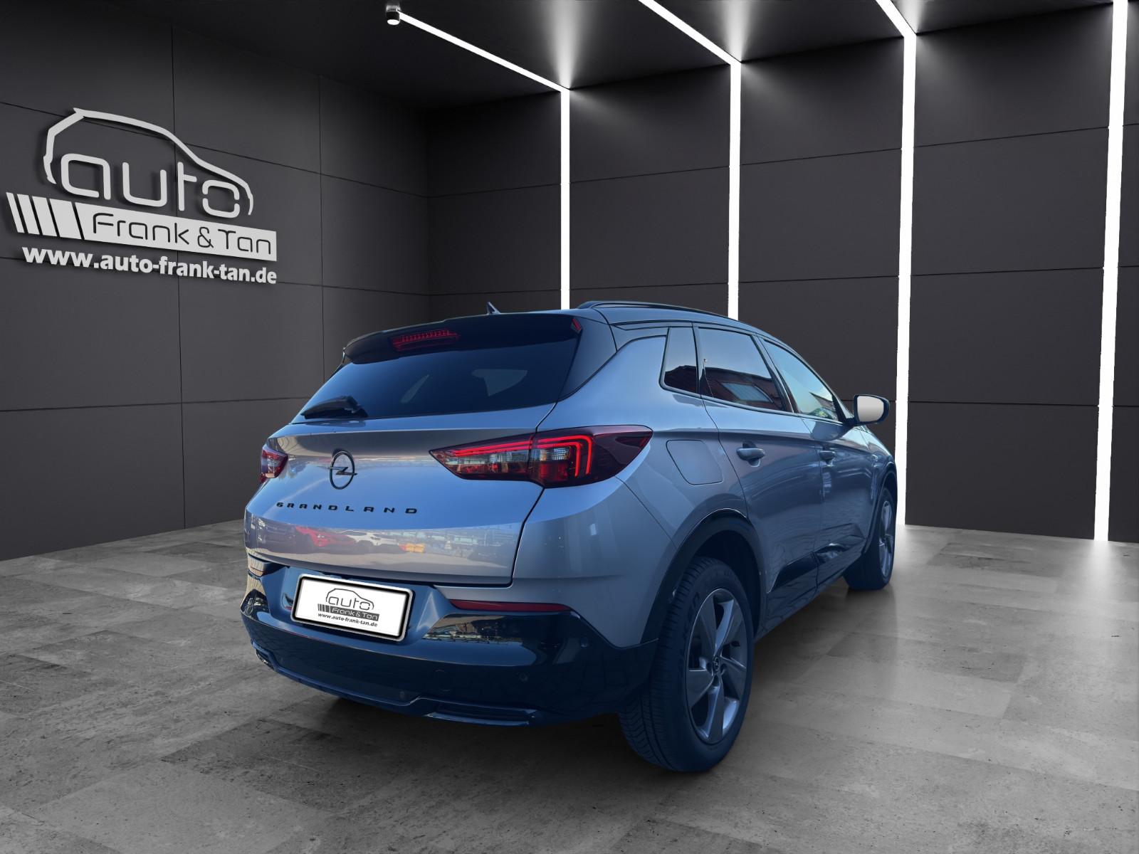 Opel Grandland (X)/GS /Winter Paket/Navi/Style Paket