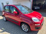 Fiat Panda Lounge/1HD/AUT/PANO/KLIMA/PDC/GJR - Fiat Panda LOUNGE mit Benzin-Antrieb