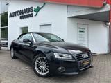 Audi A5 Cabriolet 2.0 TFSI/LEDER/NAVI/SHZ/TEMP/PDC - Audi A5 aus 2009: Cabrio