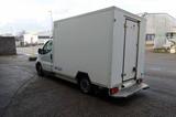 Renault TRAFIC FRIGO 2,0 DCI 115 L2H1 - Angebote